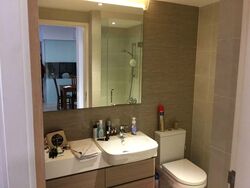 The Lakefront Residences (D22), Condominium #559230241